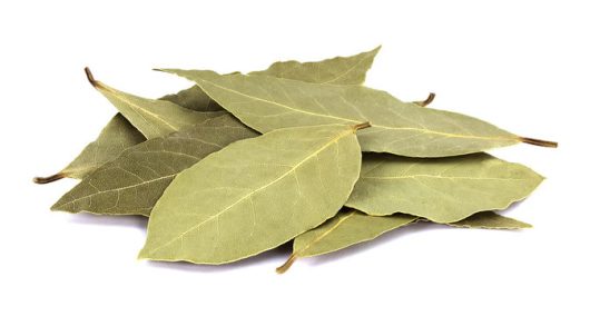 Bayleaf donation